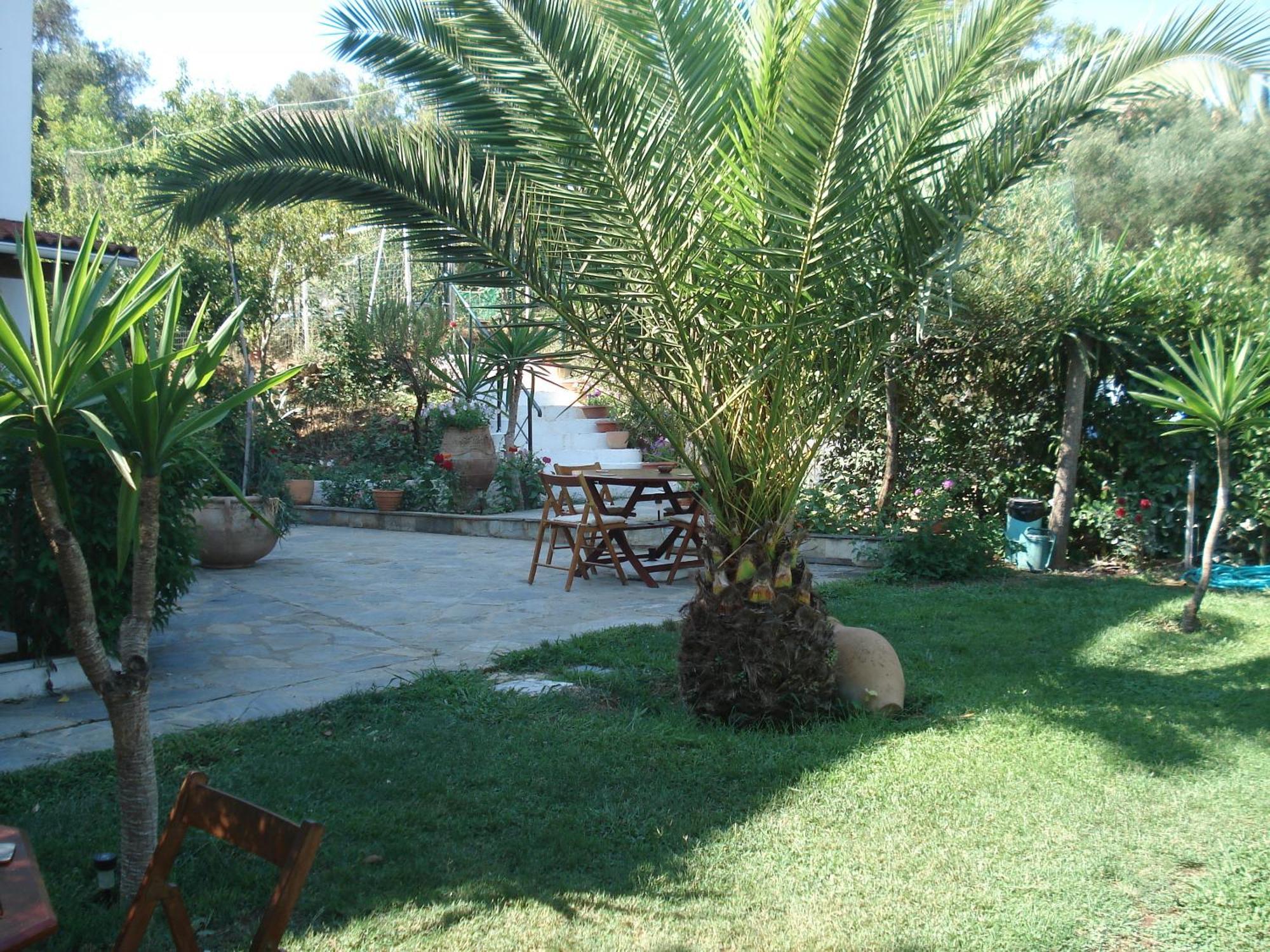 Villa Avra Dassia  Ngoại thất bức ảnh