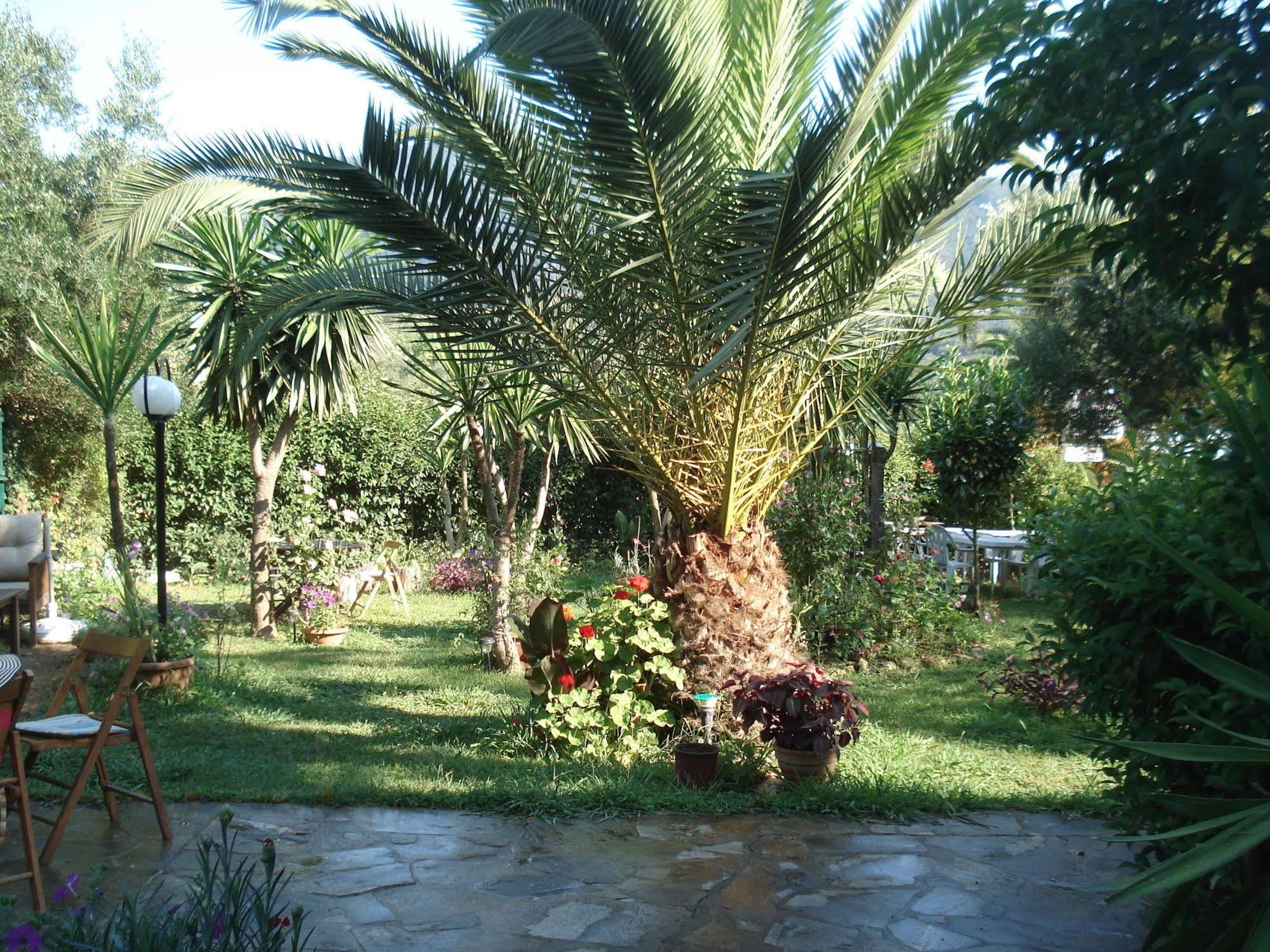 Villa Avra Dassia  Ngoại thất bức ảnh