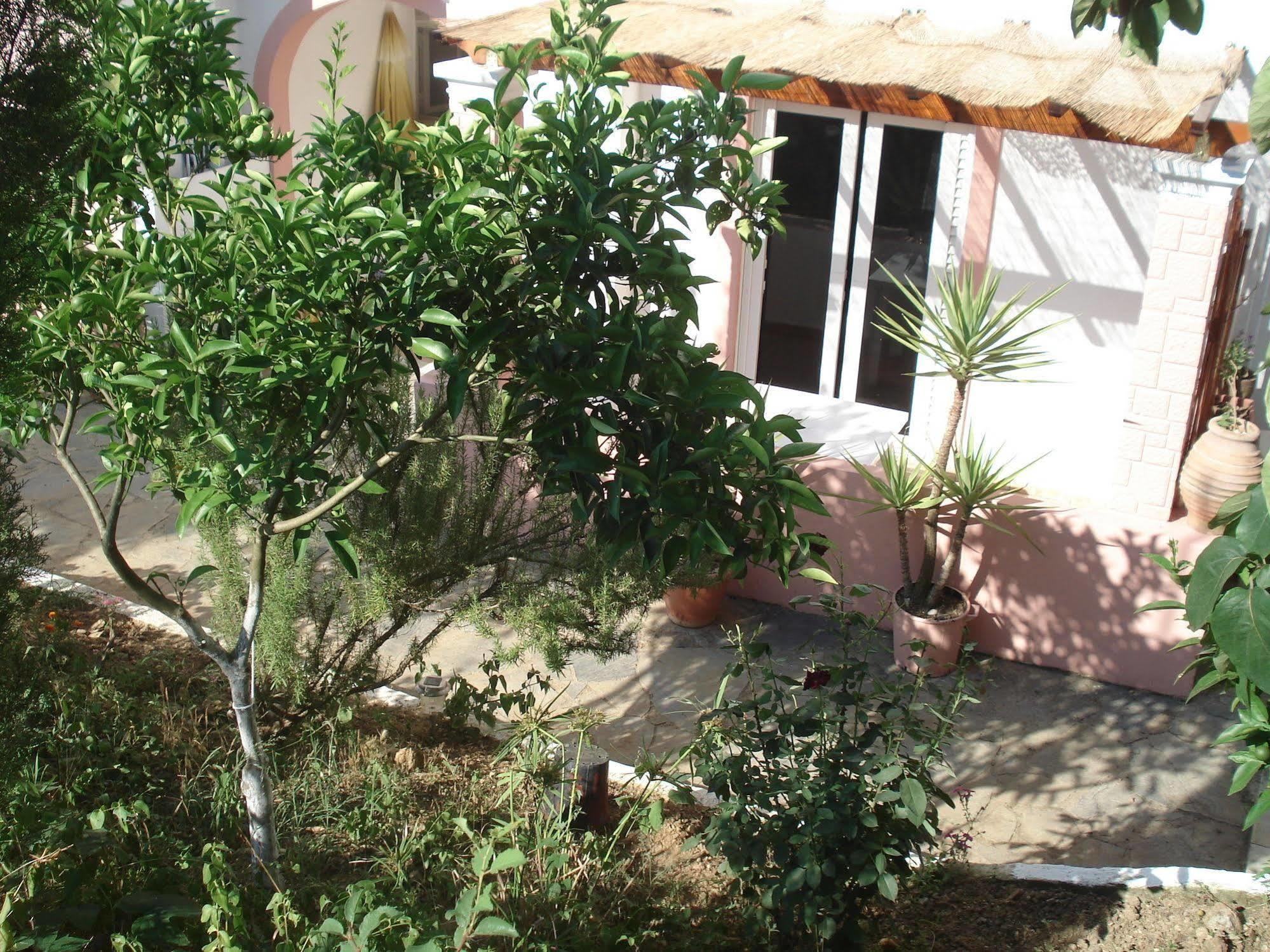 Villa Avra Dassia  Ngoại thất bức ảnh